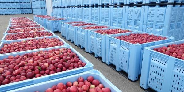 Agriculture Bins