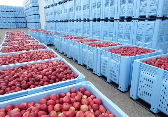 Agriculture Bins